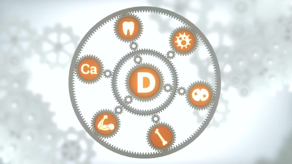 Buntspecht / Stories / Wörwag / Omega Pharma / Vitagamma / Motion Design / Animation / Video / Media / Kreativ / Agentur / Köln